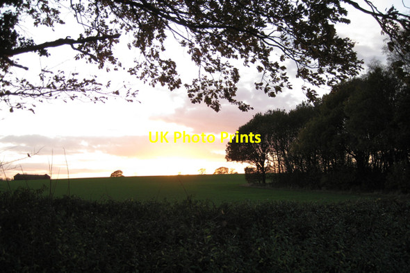 Photo 6"x4" Corner of Deer Park Wood from Wedgnock Lane Waste Green c2009