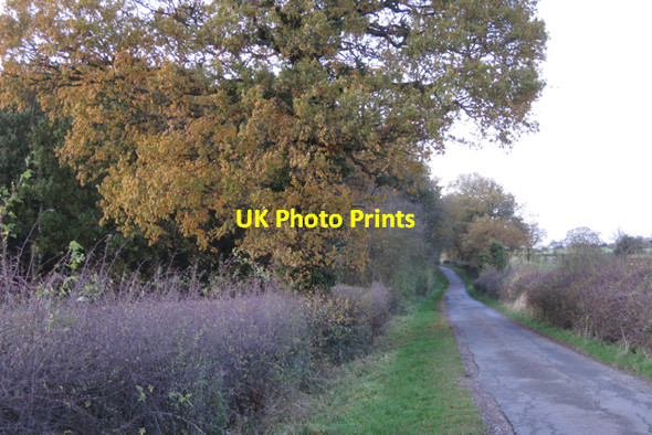 Photo 6"x4" Wedgnock Lane by Deer Park Wood Waste Green c2009