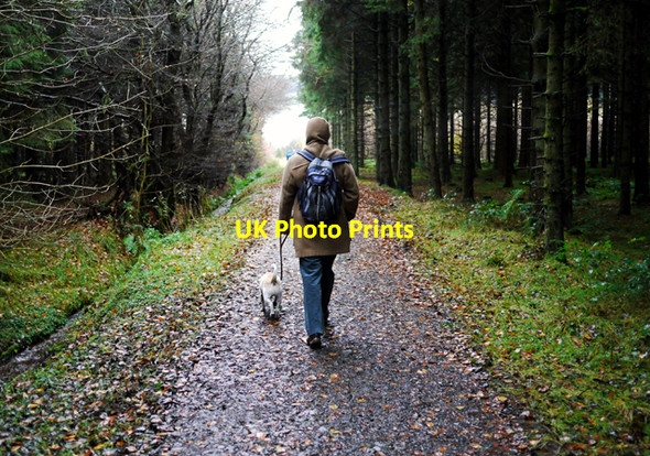 Photo 6"x4" Walking in Woodburn Forest Greenisland c2009