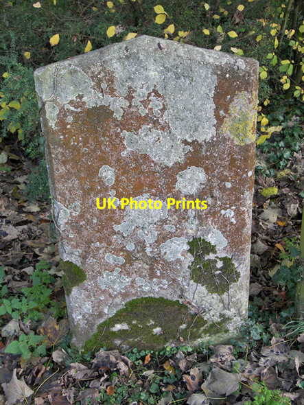 Photo 6"x4" Lichened Gravestone, St. Andrew's Church, Wootton Wootton\/TA0816 c2009
