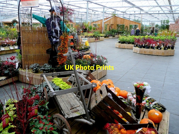 Photo 6"x4" Halloween display at Barton Grange Brock\/SD5140 c2009