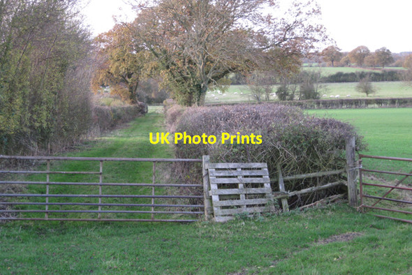 Photo 6"x4" Grassy track between fields west of Bannerhill Farm Waste Green c2009