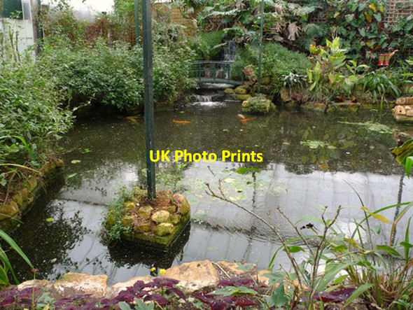 Photo 6"x4" Inside Stratford Butterfly Farm Stratford-upon-Avon c2009