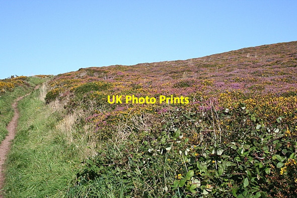 Photo 6"x4" Footpath on St Agnes Beacon Higher Bal c2009