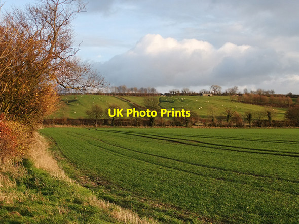 Photo 6"x4" Near Horkstow Horkstow c2009