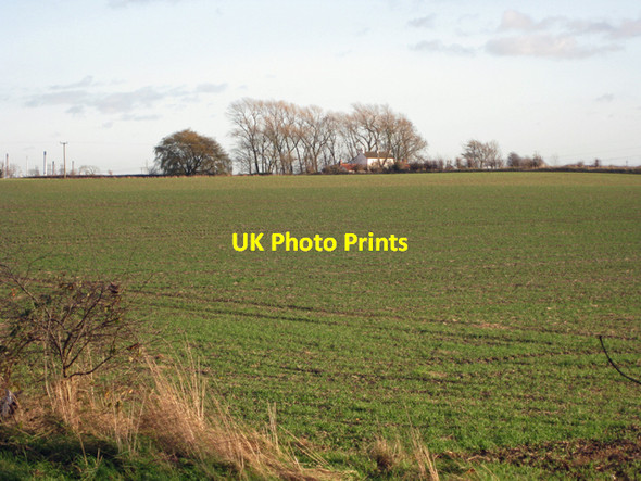 Photo 6"x4" Winter Wheat near Thornton Curtis Thornton Curtis c2009