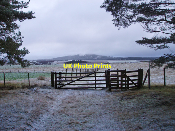 Photo 6"x4" Southern entrance to Sliemore Wood Clachaig\/NJ0218 c2009