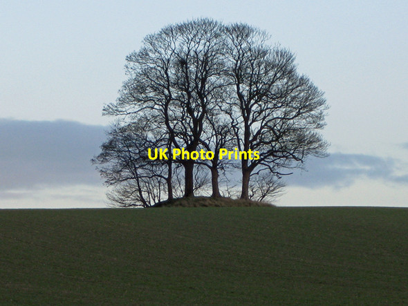 Photo 6"x4" Howe Hill, Wootton Wootton\/TA0816 c2009