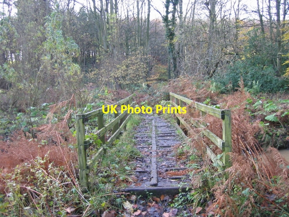 Photo 6"x4" Footbridge over Howick Burn Howick\/NU2517 c2009