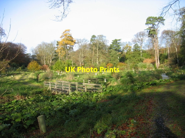 Photo 6"x4" Footbridge over the Howick Burn Howick\/NU2517 c2009