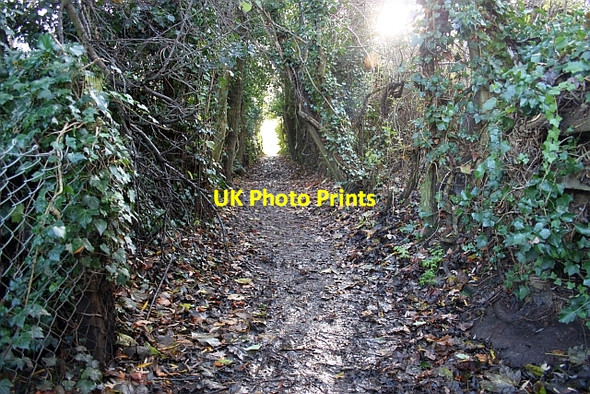 Photo 6"x4" Path towards the Hayslan Fields Great Malvern c2009