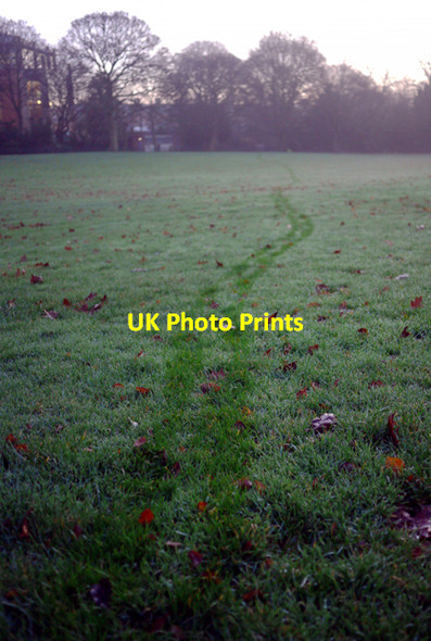 Photo 6"x4" Tracks in the dew, Botanic Gardens Belfast c2009