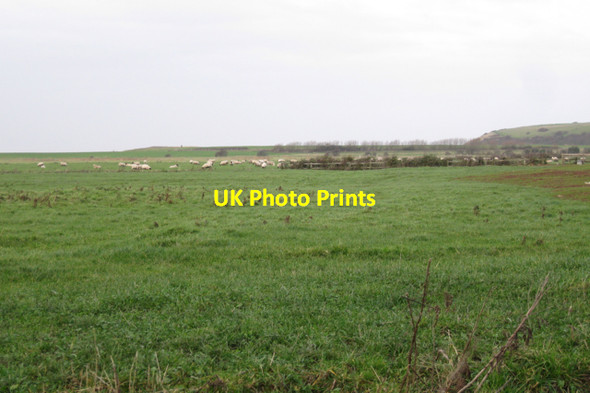 Photo 6"x4" Grassland west of Dowlais Farm Clevedon c2009