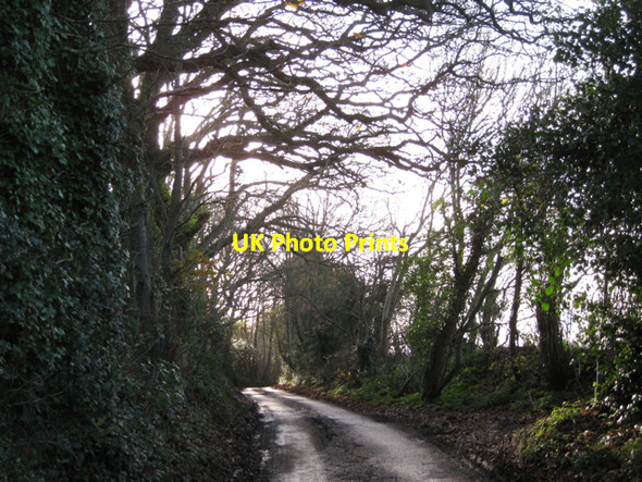Photo 6"x4" Approaching the summit of Cofton Hill Cockwood\/SX9780 c2009