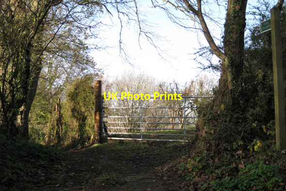 Photo 6"x4" Gate into an orchard, Cofton Hill Eastdon c2009