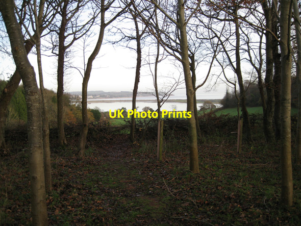 Photo 6"x4" Woodland Walks, Eastdon Woods Eastdon c2009