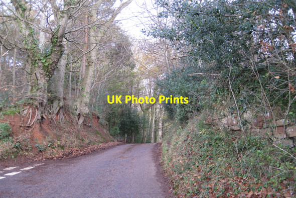 Photo 6"x4" Summit of Orchard Lane Eastdon c2009