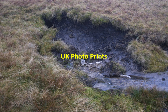 Photo 6"x4" Spring on Greenrigg Moss Shoregill c2009