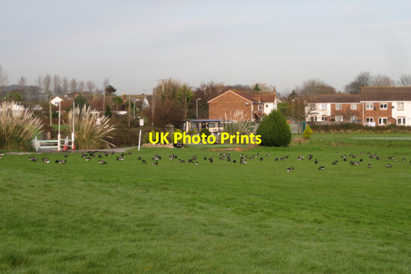 Photo 6"x4" Oak Meadow approach golf course, New Road, Starcross Starcross c2009