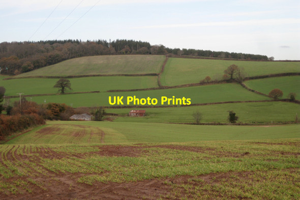 Photo 6"x4" Old Toll House and shed near Vennbridge Farm Cofton c2009