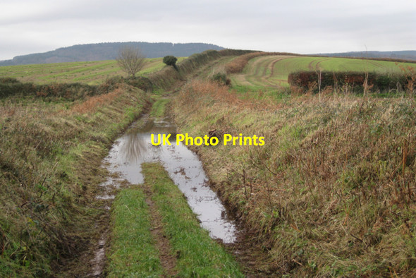 Photo 6"x4" Waterlogged green lane on the way to Mowlish Farm Cofton c2009