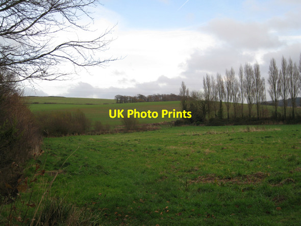 Photo 6"x4" Sliver of woodland east of Mowlish Farm Cofton c2009