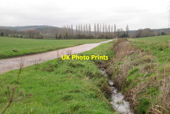 Photo 6"x4" Long straight private track towards Mowlish Cofton c2009
