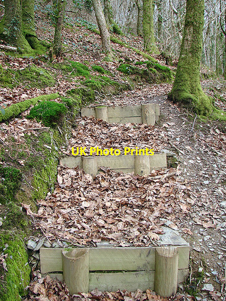 Photo 6"x4" Steps on the path through Pant  Da nature Reserve Nantyronen Station c2009