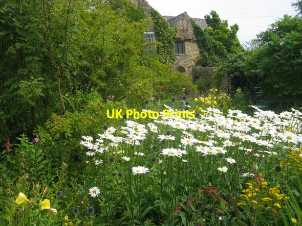 Photo 6"x4" Garden at Crook Hall Durham c2008