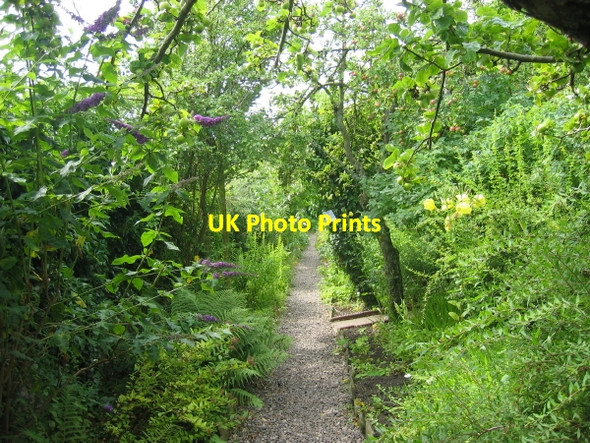 Photo 6"x4" Garden at Crook Hall Durham c2008 P1