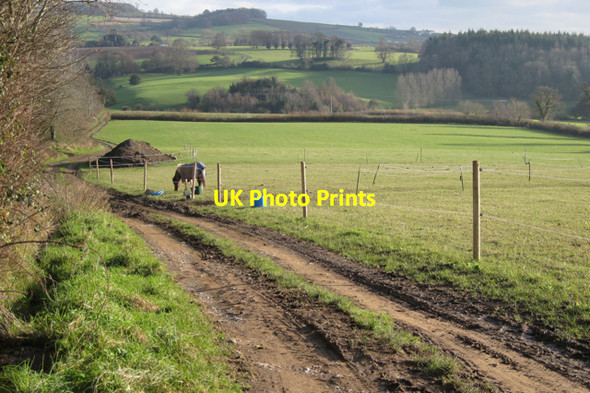 Photo 6"x4" Paddock, Hestow Barton Ideford c2009