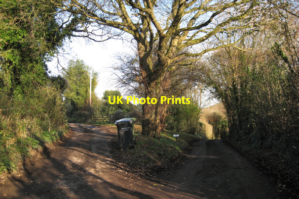 Photo 6"x4" Lindridge Hill forks Kingsteignton c2009