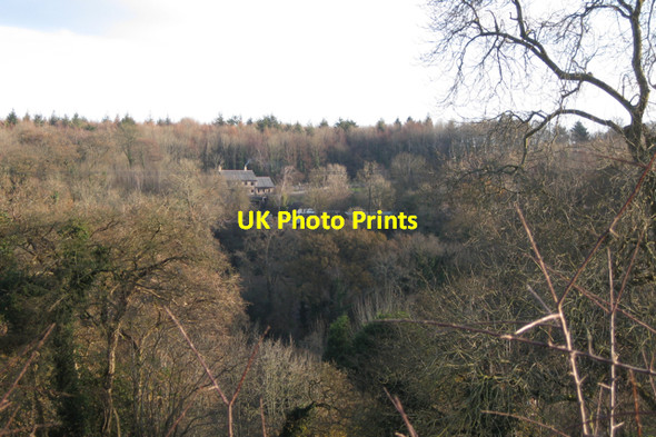 Photo 6"x4" A house in woodland near Lindridge Hill Kingsteignton c2009