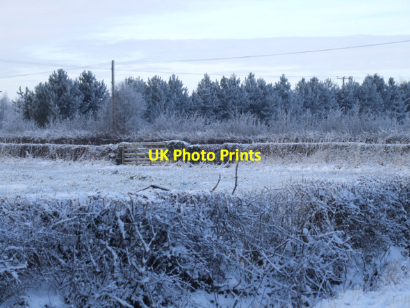Photo 6"x4" Wilberfoss Winter Wilberfoss c2009