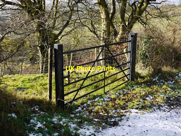 Photo 6"x4" Gate near Cave Hill Carnmoney c2009
