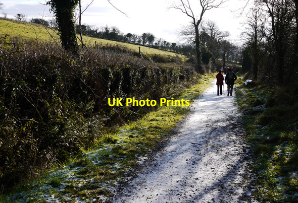 Photo 6"x4" Path near Cave Hill Carnmoney c2009