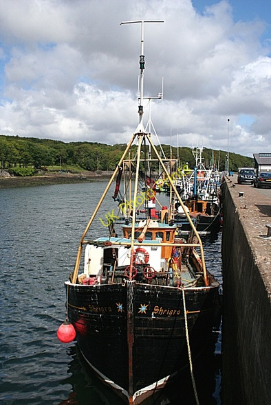 Photo 6"x4" Fishing Boats Stornoway\/Ste\u00f2rnabhagh c2009