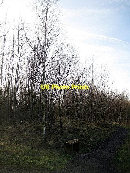Photo 6"x4" Lofthouse Colliery Nature Park Tour (4) Carr Gate c2009