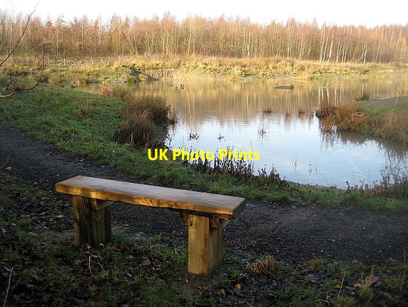 Photo 6"x4" Lofthouse Colliery Nature Park Tour (5) Carr Gate c2009