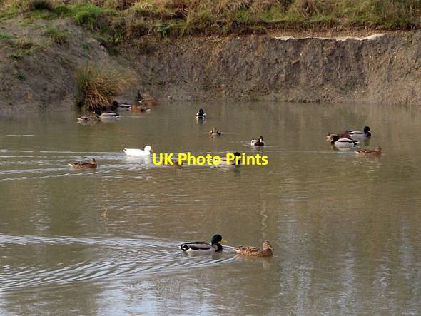 Photo 6"x4" Lofthouse Colliery Nature Park Tour (26) Carr Gate c2009