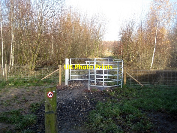Photo 6"x4" Lofthouse Colliery Nature Park Tour (30) Carr Gate c2009