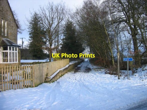 Photo 6"x4" South Tyne Trail at Featherstone Station Rowfoot c2009