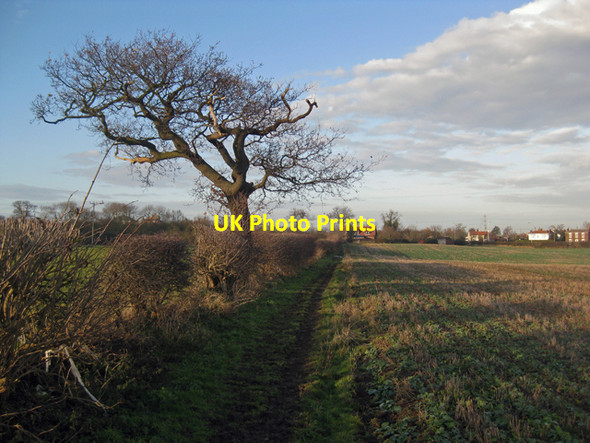Photo 6"x4" Public Footpath towards Ulceby Skitter Ulceby Skitter c2009