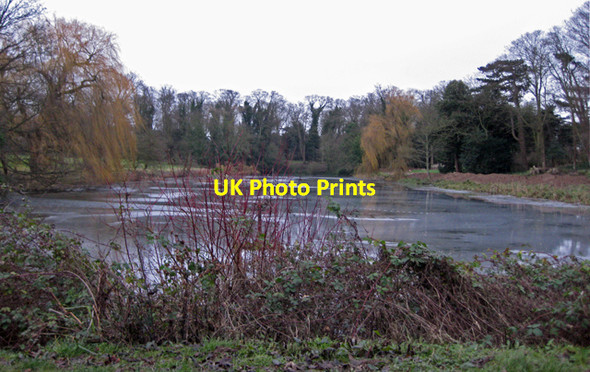 Photo 6"x4" Brocklesby Park - The Canal Brocklesby c2009