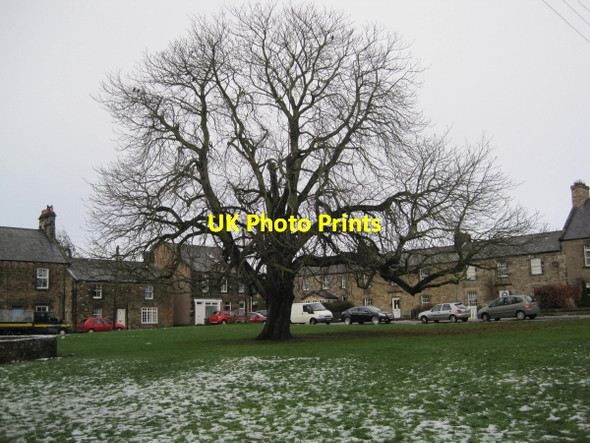 Photo 6"x4" Wark Village Green Wark\/NY8677 c2009