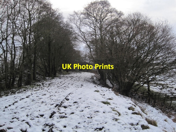 Photo 6"x4" Disused Railway Line near Low Carry House Birtley\/NY8778 c2009