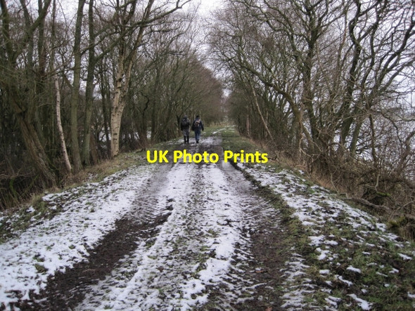 Photo 6"x4" Disused Railway Line Wark\/NY8677 c2009