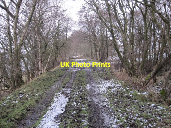 Photo 6"x4" Disused Railway Line Wark\/NY8677 c2009