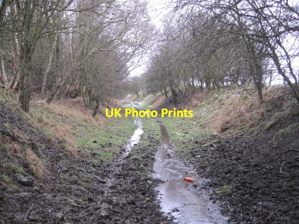 Photo 6"x4" Disused Railway Line Wark\/NY8677 c2009