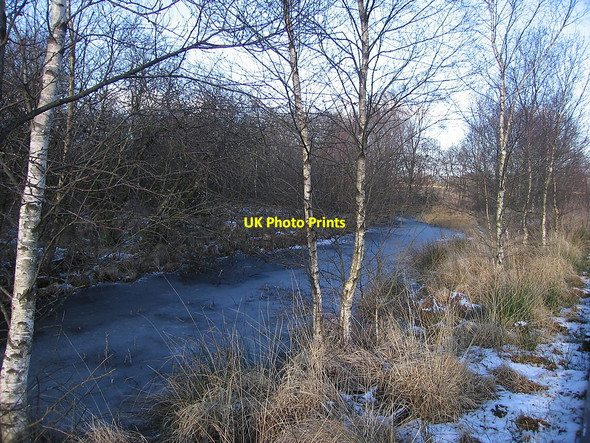 Photo 6"x4" Frozen pond, Cors Caron Nature Reserve Tregaron c2010